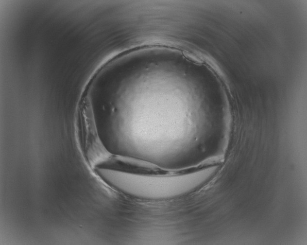 X0000070221048200606021316