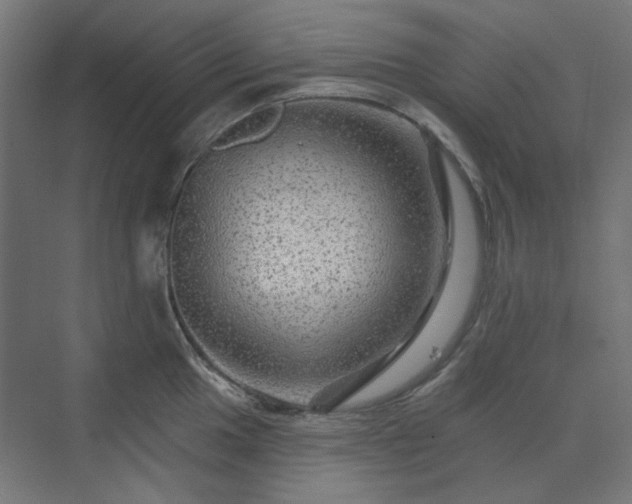 X0000070221049200606021316