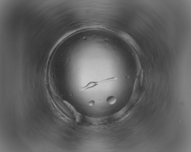 X0000070221052200606021316
