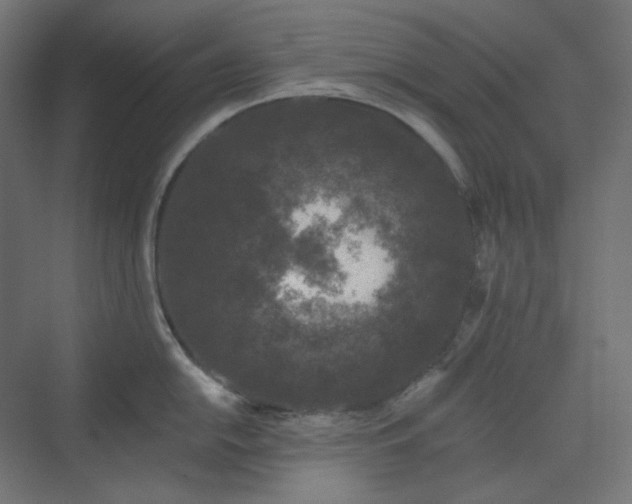 X0000070221054200606021316