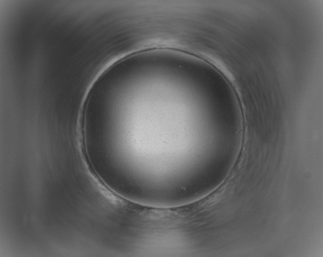 X0000070221056200606021316