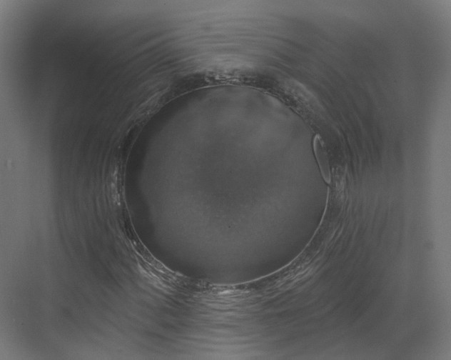 X0000070221060200606021315