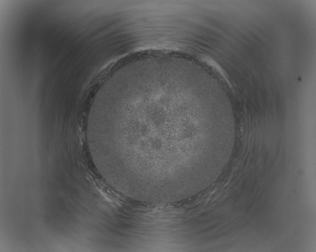 X0000070221064200606021315