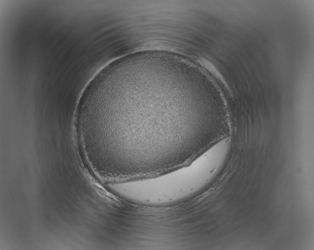 X0000070221068200606021315