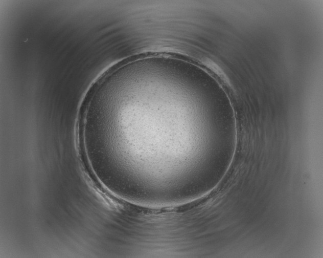 X0000070221076200606021315