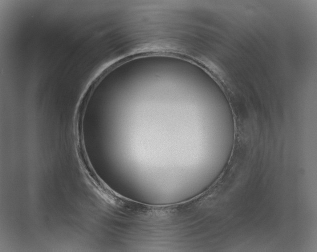 X0000070221078200606021315