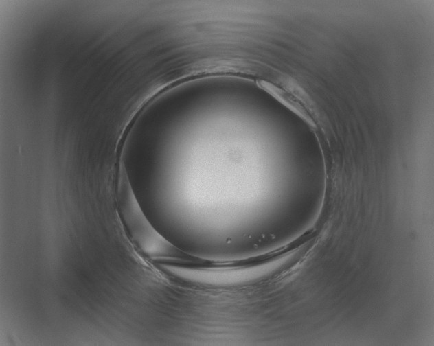 X0000070221089200606021315
