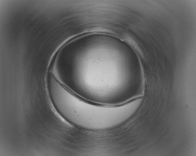 X0000070221092200606021315