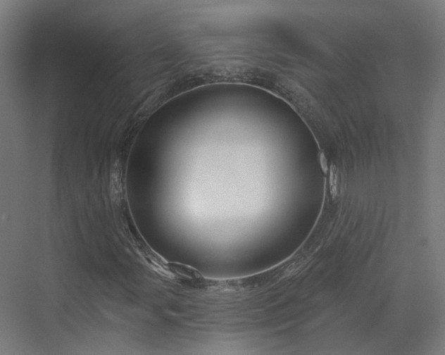 X0000070221107200606021314