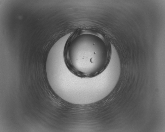 X0000070221108200606021314