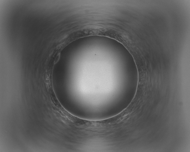 X0000070221109200606021314