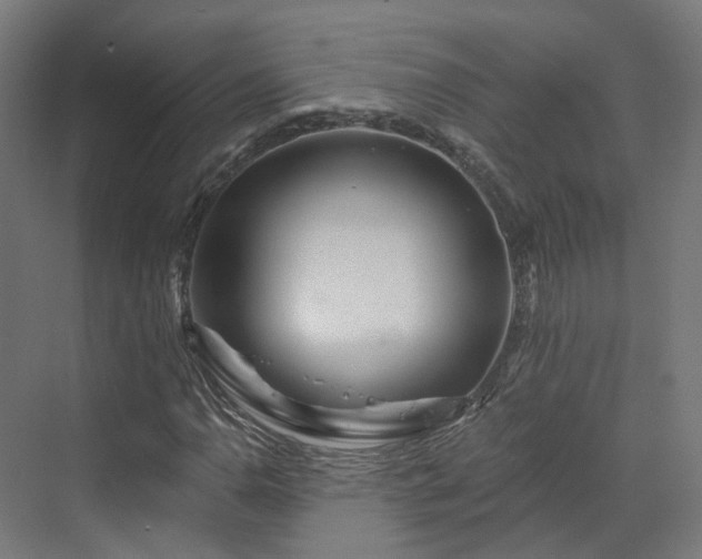 X0000070221110200606021314