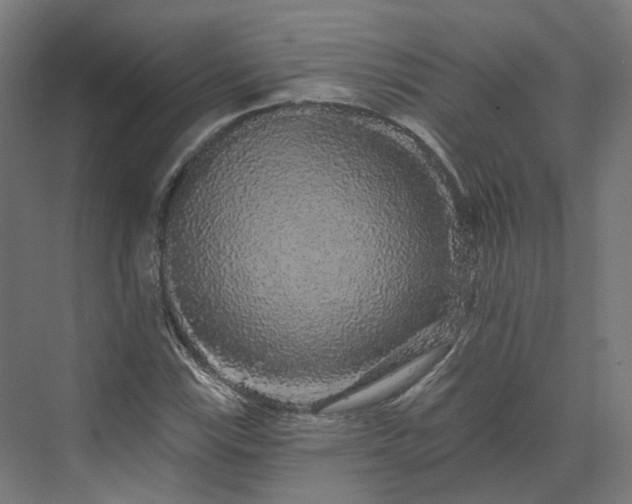 X0000070221115200606021314