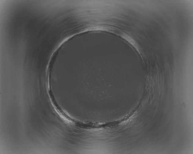 X0000070221127200606021314