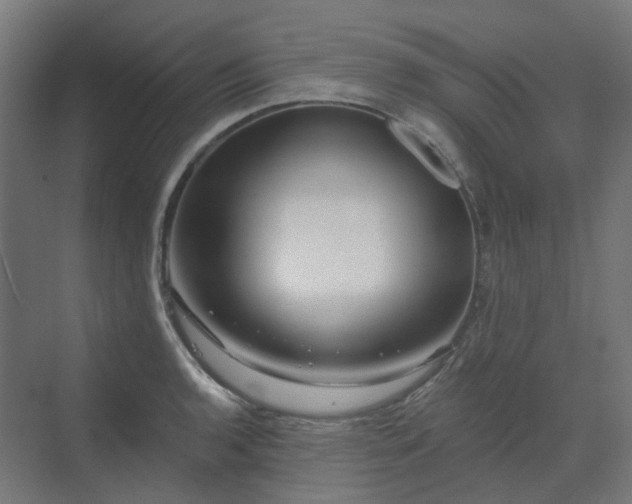 X0000070221136200606021314