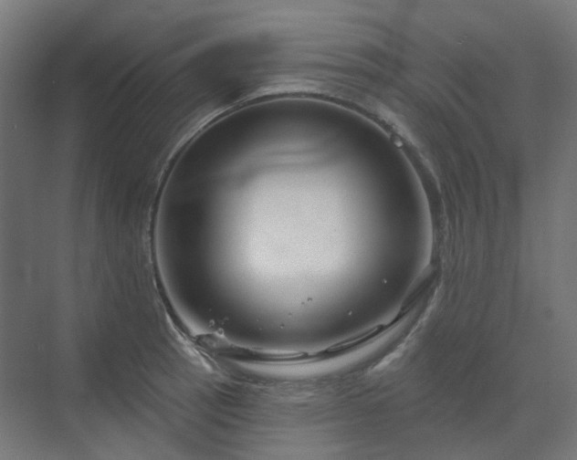 X0000070221137200606021314