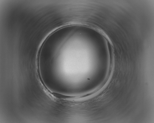 X0000070221148200606021314