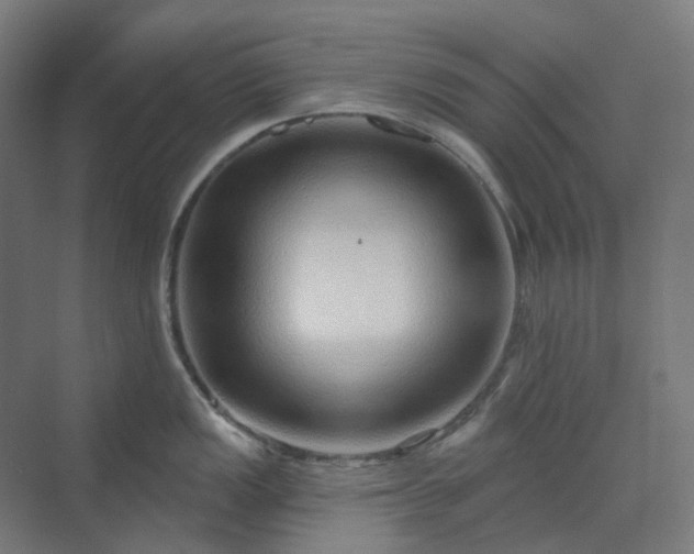 X0000070221149200606021314