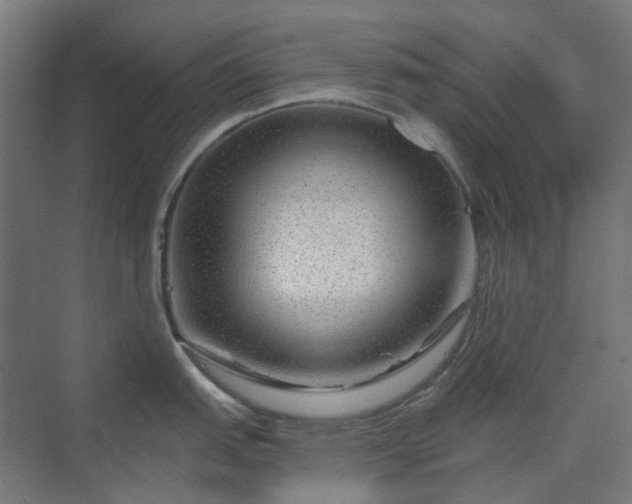 X0000070221151200606021315