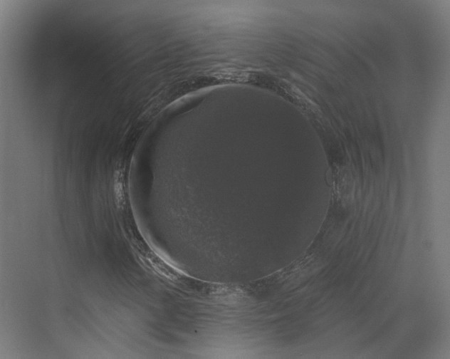 X0000070221154200606021314