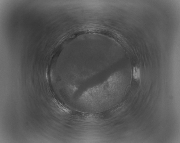 X0000070221155200606021314