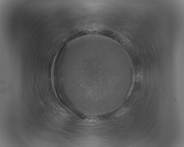 X0000070221156200606021314