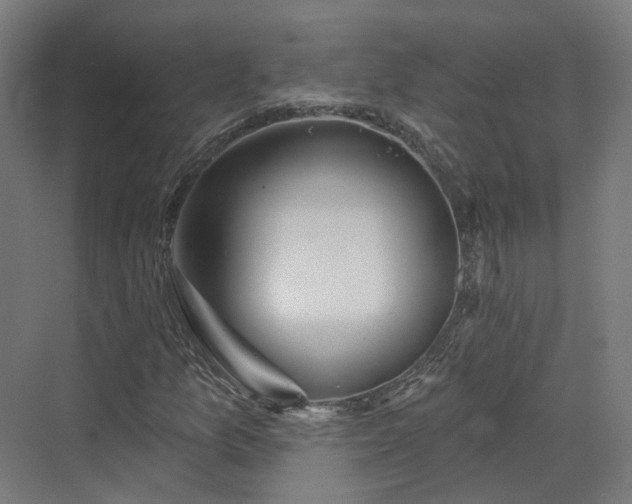 X0000070221157200606021314
