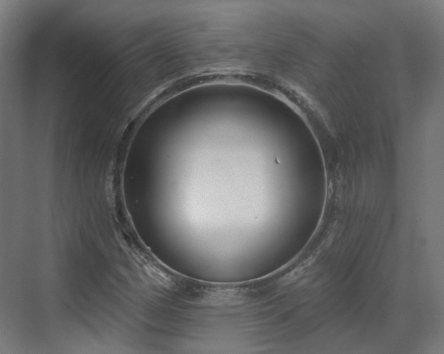 X0000070221162200606021314