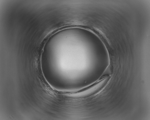 X0000070221163200606021314
