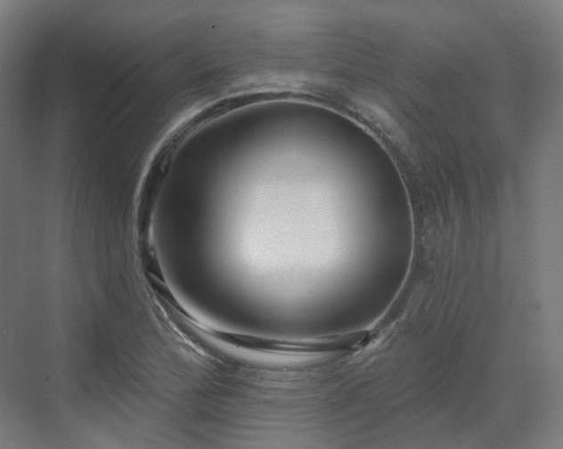 X0000070221172200606021313