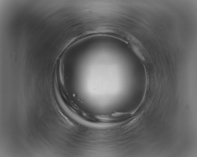 X0000070221177200606021313