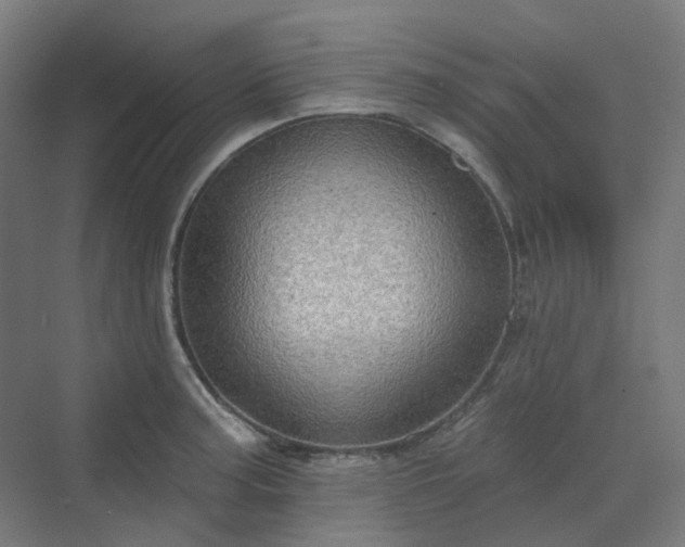 X0000070221187200606021313