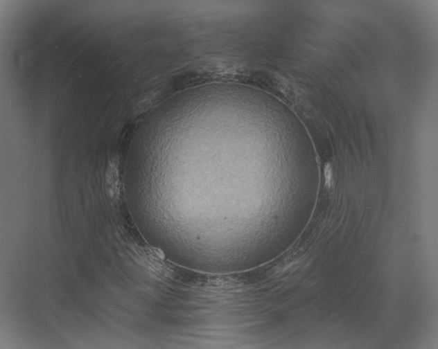 X0000070221203200606021312
