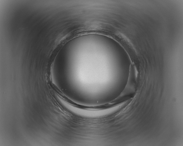 X0000070221210200606021312