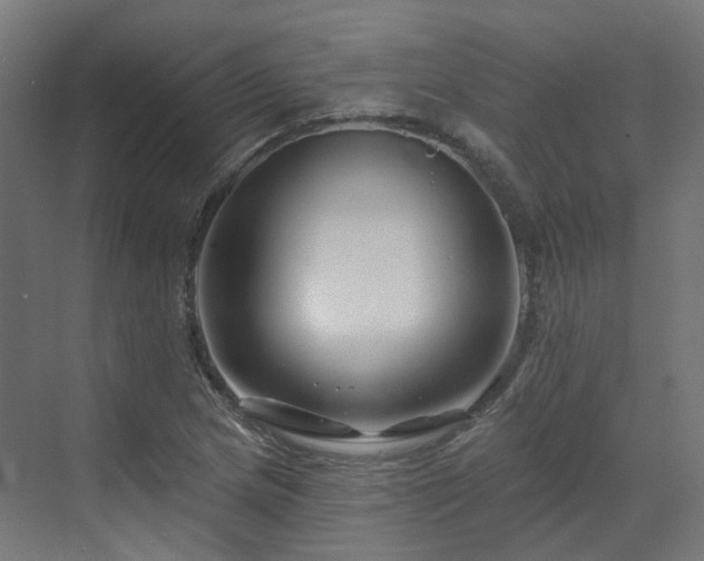 X0000070221217200606021312