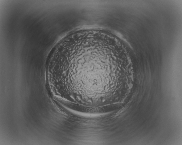 X0000070221221200606021312