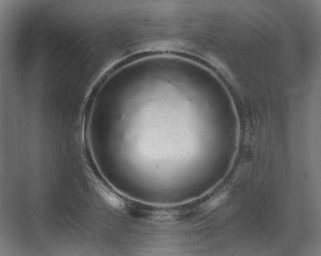 X0000070221224200606021312