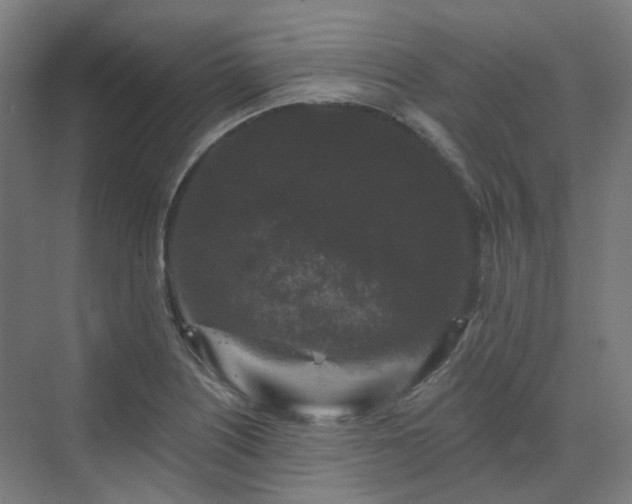 X0000070221226200606021313