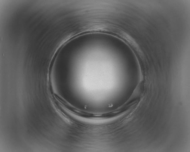 X0000070221234200606021313