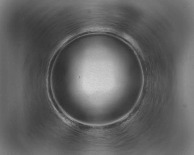 X0000070221237200606021313