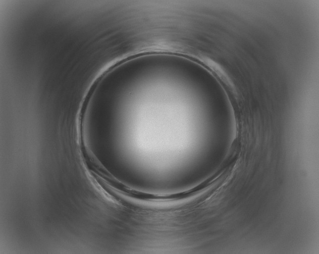 X0000070221238200606021313