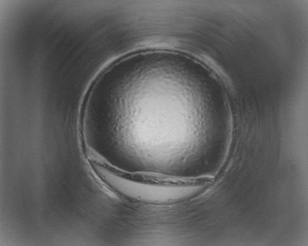 X0000070221240200606021313