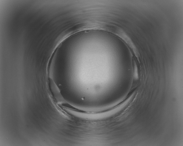 X0000070221242200606021313