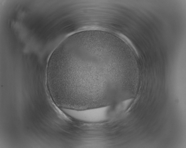 X0000070221244200606021313