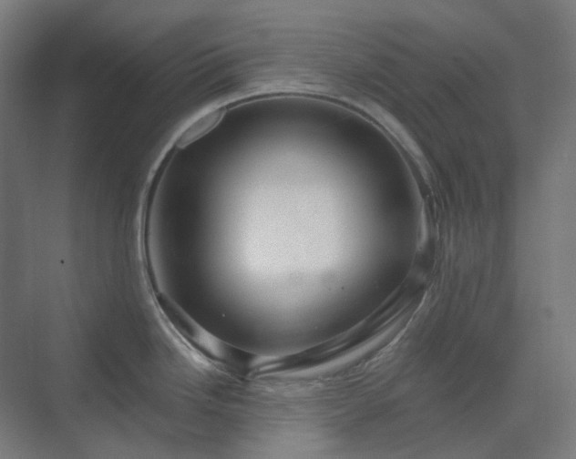 X0000070221246200606021313