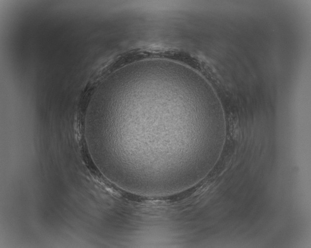 X0000070221253200606021312