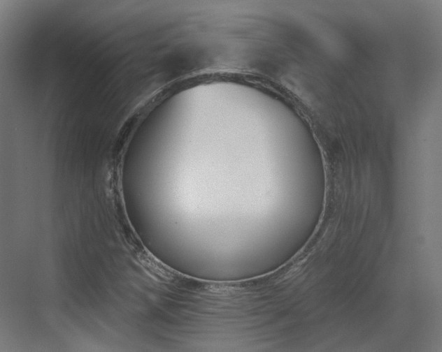 X0000070221258200606021312