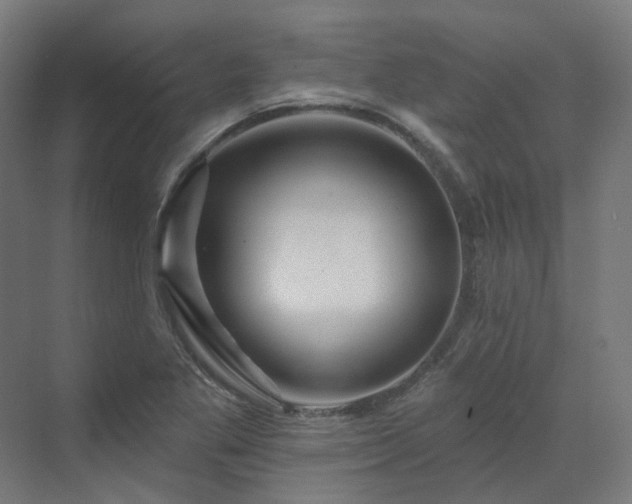 X0000070221269200606021312