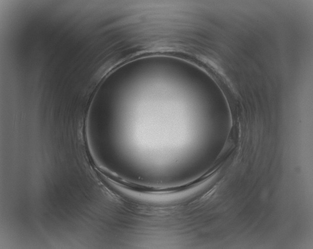X0000070221273200606021312