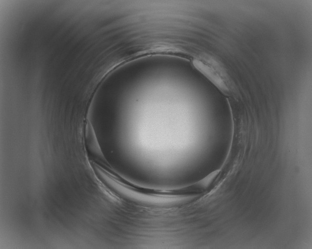 X0000070221281200606021312